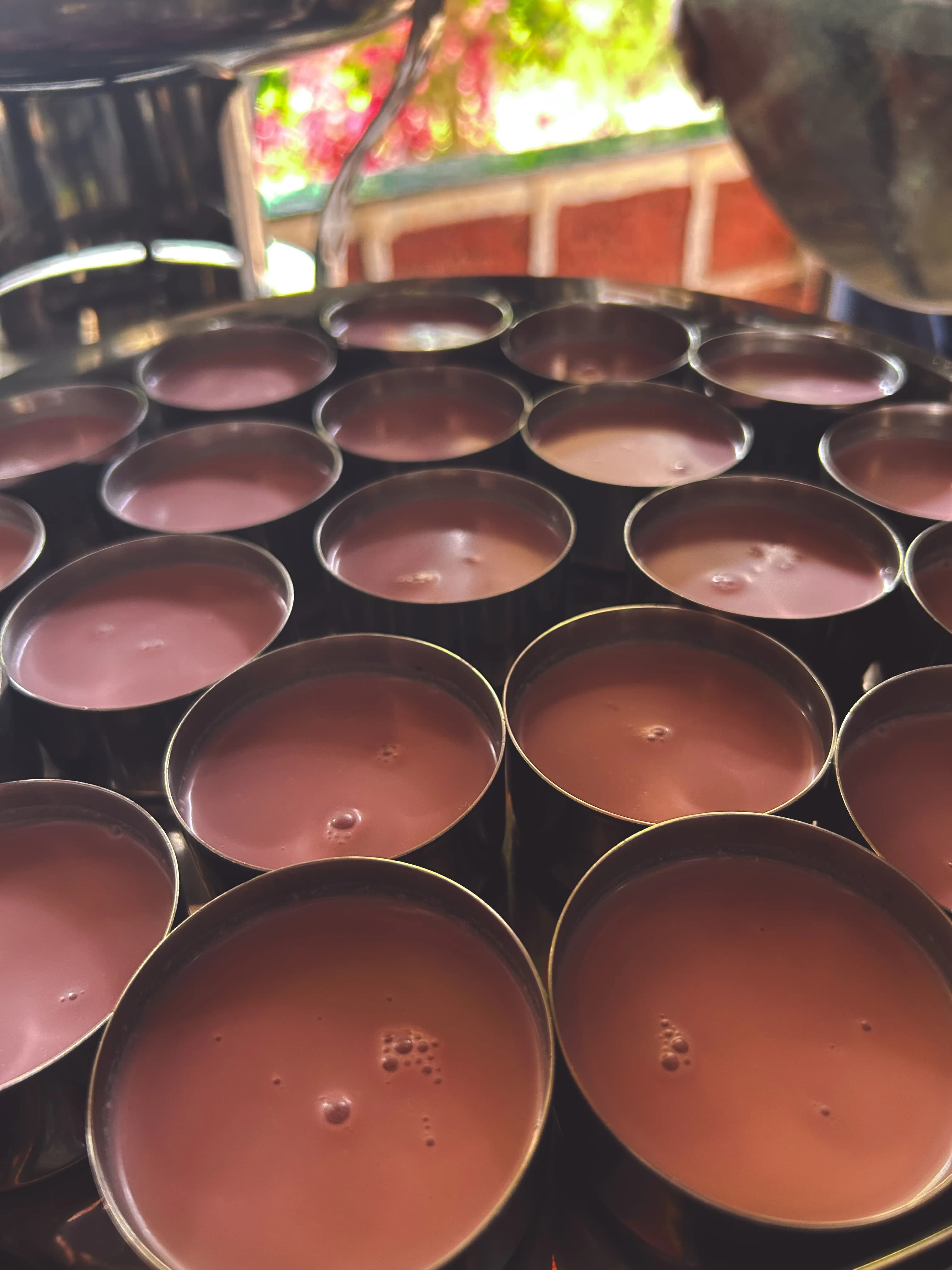 Malvan Tarkarli, Maharashtra photo 10